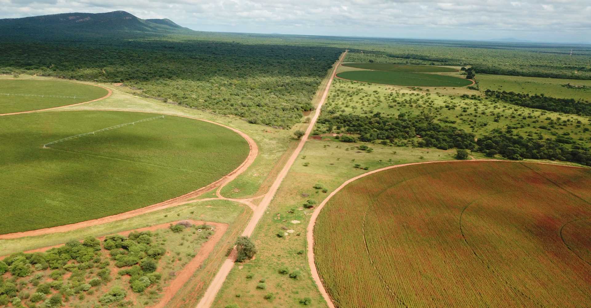 Farm for Sale - Limpopo