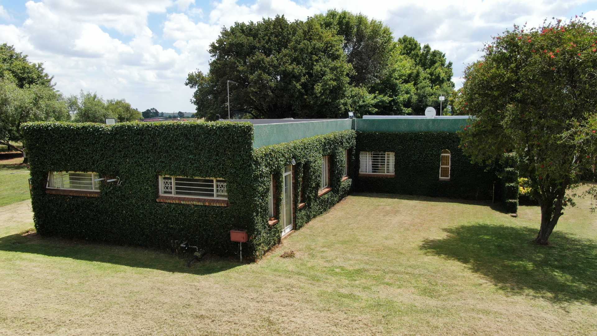 320535796.jpg