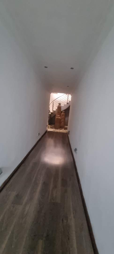 329494286.jpg