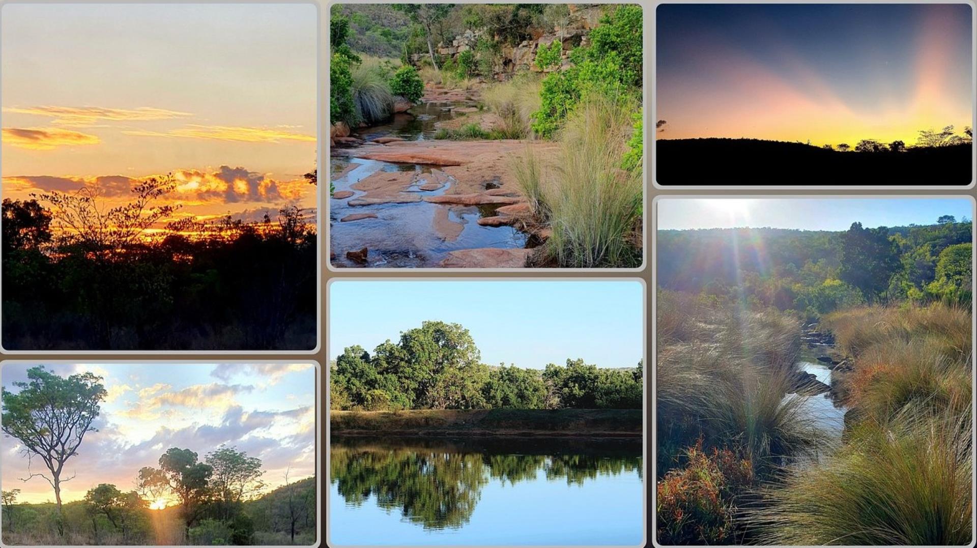 732479_Collage2.jpg