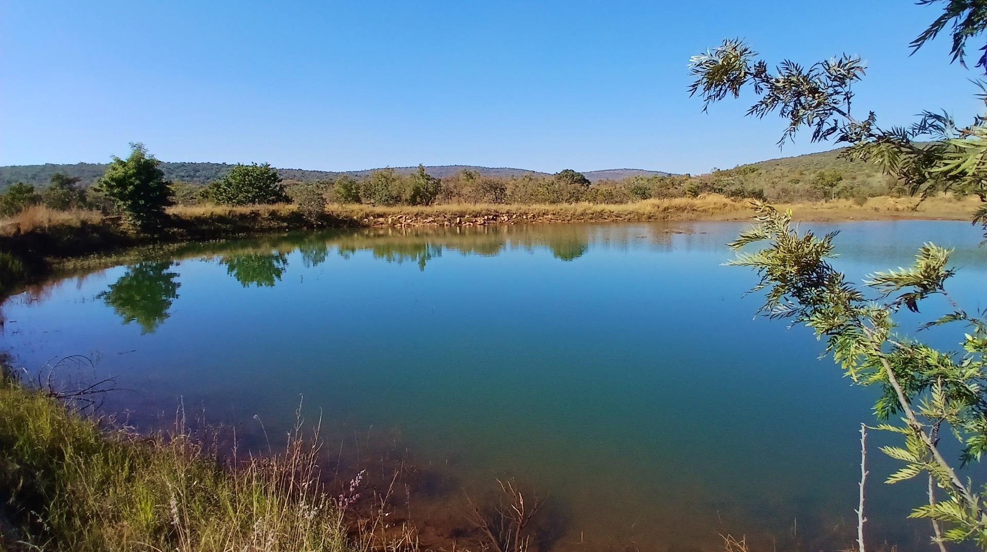 Farm for Sale - Limpopo